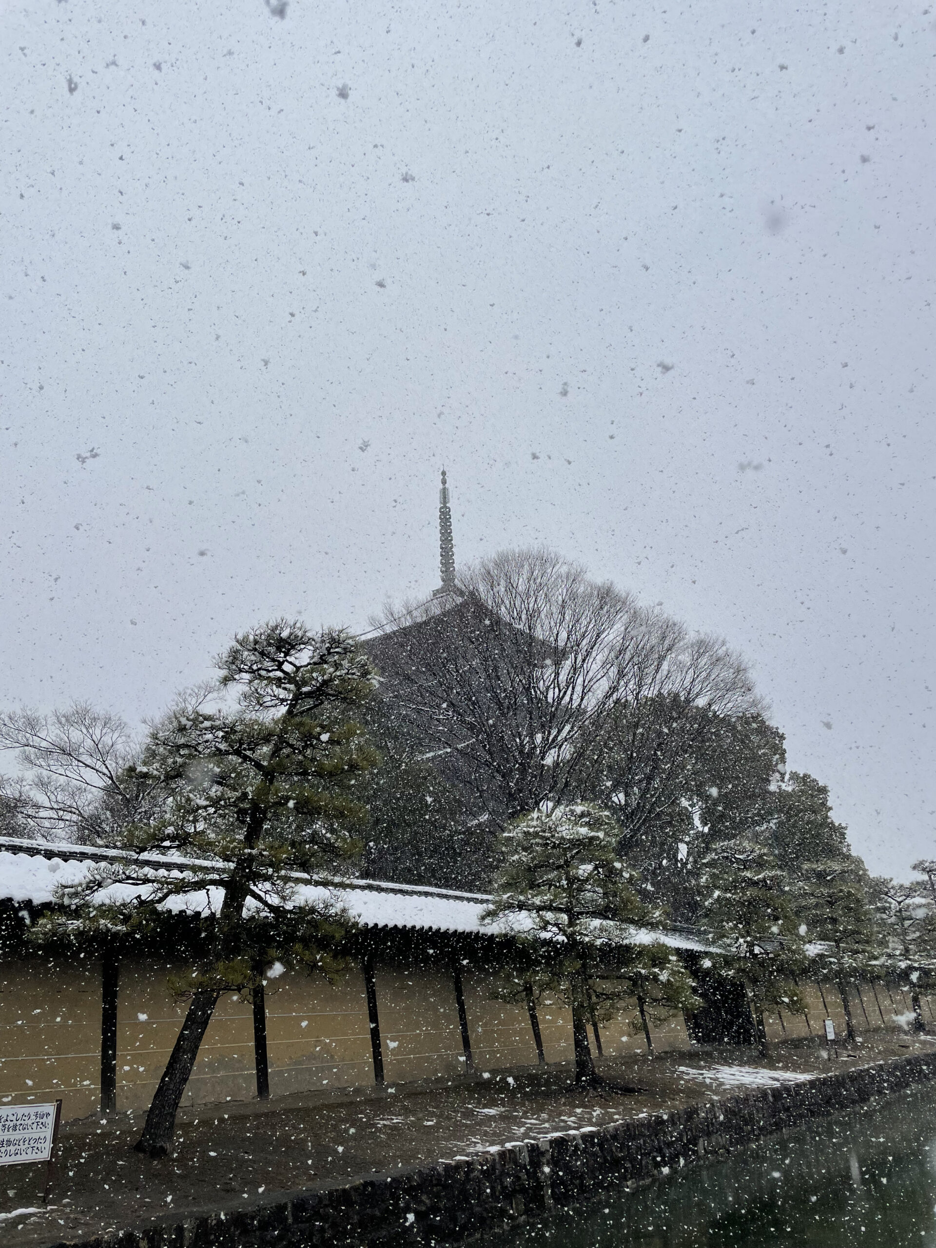 東寺　五重塔