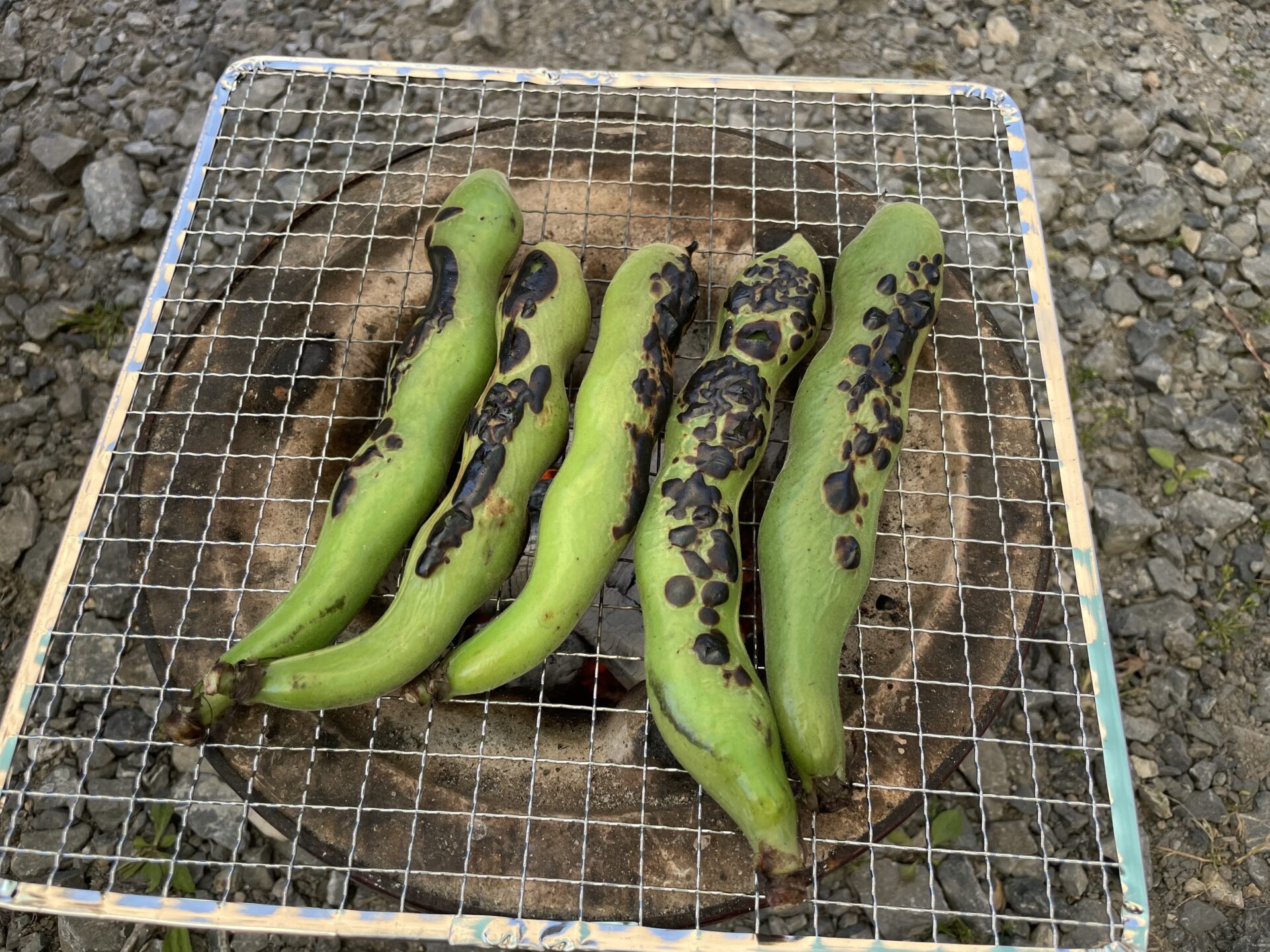 そら豆丸ごと焼き